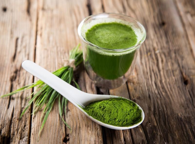 Wheatgrass Juice, A Natural Acid Reflux Remedy